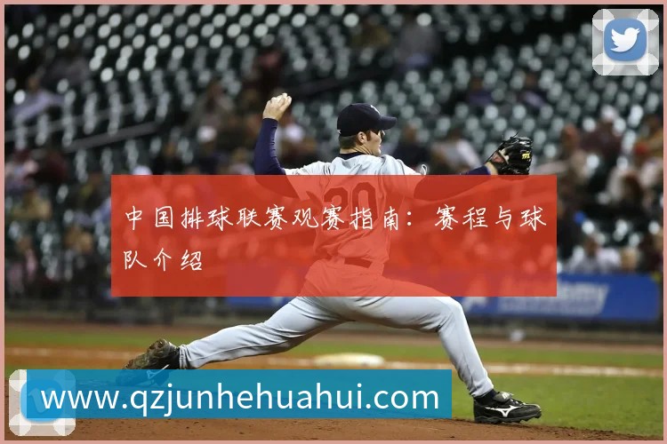 中国排球联赛观赛指南:赛程与球队介绍