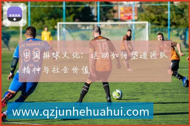 中国排球文化：运动如何塑造团队精神与社会价值